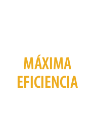 Máxima Eficiencia